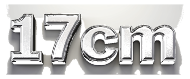 17cm logo